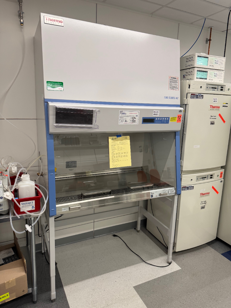 Image of Thermo 1300 Series A2 4' Biosafety Cabinet